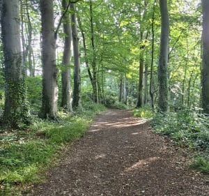 Jolie balade dans les bois d'Etennemare de SV-en-Caux - Saint-Valery-en-Caux - 2