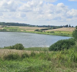 Jezio Kuksy - Dzierzgoń - 2