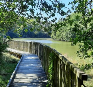 Tour de Plougoumelen de la chapelle Becquerel à Pont Sal - Laurent - 3