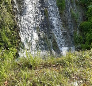 Petite balade à Châtres sur Cher - Châtres-sur-Cher - 2