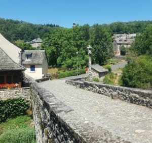 Un petit tour sur le plateau de l'Aubrac - Saint-Chély-d'Aubrac - 6