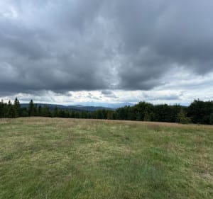 Zawoja - Jałowiec - Zawoja - Piotr - 2