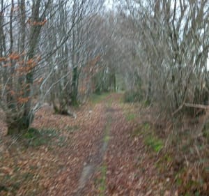Azérables et étang de la Chaume à vélo - Vareilles - 2