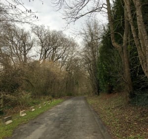 Boucle de Tessancourt à Villette - Tessancourt-sur-Aubette - 2