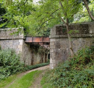 Découverte autour de Saint-Rémy-de-Sillé - Saint-Rémy-de-Sillé - 2