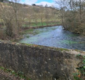 Balade entre éoliennes et Charente - Courcôme - 2
