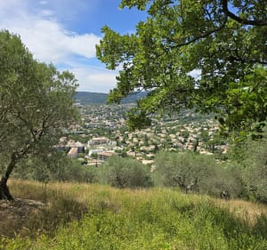 Promenade autour de Mont d’Or - Paul - 2