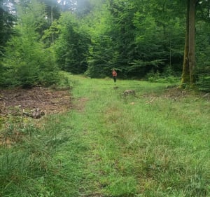 Rando bucolique et forestière à Raon-sur-Plaine, par Col de Prayé - Raon-sur-Plaine - 2