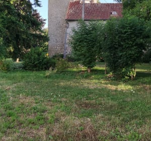 Marche Dynamique au château de Veauce - Bellenaves - 2