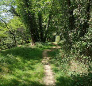 Parcours VTC à Monein, Parbayse et Abos - Ian - 3