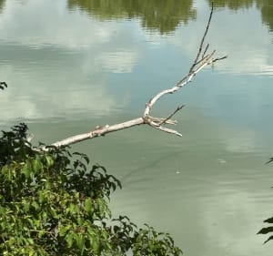 Tour des lacs à Noisiel - Valérie - 4