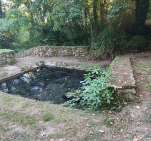 Château de Rauzan - delphine - 5
