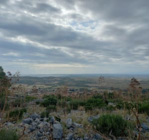 Autour du château d'Opoul et vue sur la plaine du Roussillon - Opoul-Périllos - 2