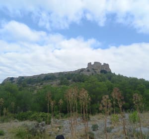 Autour du château d'Opoul et vue sur la plaine du Roussillon - Jonah - 4