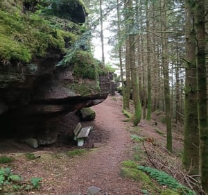 Balade VTT autour de Raon-l'Etape - Raon-l'Étape - 2