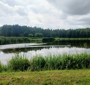 Trasa spacerowa łąkami i lasami wokoło lotniska - Rybnik - 2