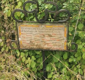 Sentier du Teroundel de Mouzieys - Josselin - 3