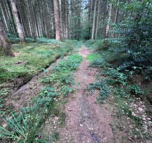 Boucle du bois de Brénil - Saulieu - 2