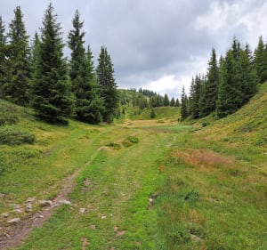 Entre Pincerie et Refuge du crêt du Poulet - Le Haut-Bréda - 2
