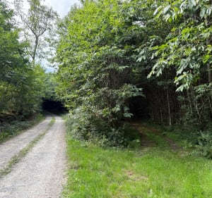 Circuit VTT Le Lude - Le Lude - 2