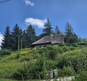 Tour du lac de Paladru par Charavines - Villages du Lac de Paladru - 4
