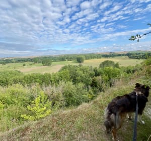 Balade à Mont d’Origny - Pauline - 2