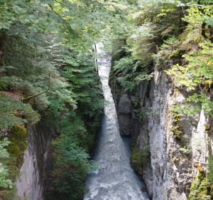 Sixt-Fer-à-Cheval, Le Mont, gorges des Tines - Sixt-Fer-à-Cheval - 2