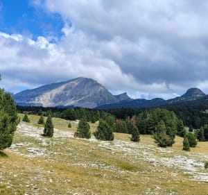 Randonnée sur les Hauts Plateaux du Vercors, à la plaine de Queyrie - Saint-Agnan-en-Vercors - 2