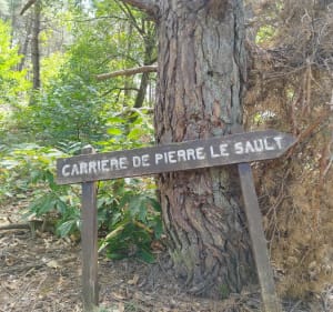 Boucle carrière De Pierre De Sault - Poligny - 2