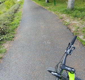 Une balade à vélo autour de Pressigny-les-Pins - Pressigny-les-Pins - 2