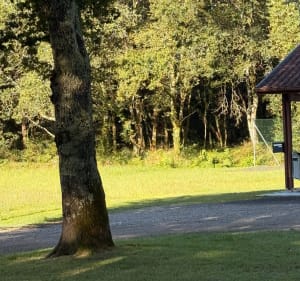 Endroit très agréable près de Saubrigues - Saubrigues - 2