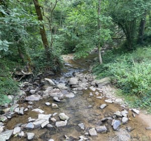 Chemin des Frères en Aveyron à Sauveterre - Sauveterre-de-Rouergue - 2