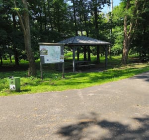 Jezioro Rogoźnickie i park - Rogoźnik - 2
