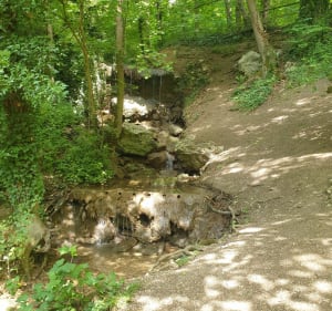 Promenade au départ de Valence Jarcy - Varennes-Jarcy - 2