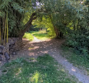 Cens-Erdre-Treillières - Treillières - 2