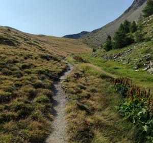Randonnée au col de l'Ecuelle - Vars - 2