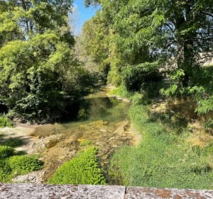 Balade par Bonneuil à Barbezieux - Barbezieux-Saint-Hilaire - 2