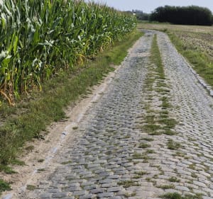 Balade à la campagne autour de Brillon - Brillon - 2