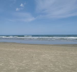 Balade entre dunes, mer et forêt à Leffrinckoucke - Juliette - 4