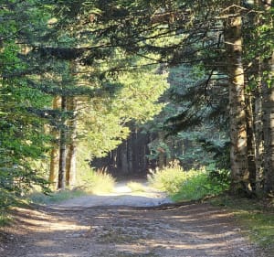 Boucle de la Noctula - Coucouron - 2