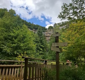 Cascade de la Queue de Cheval, Saint Claude - Saint-Claude - 2