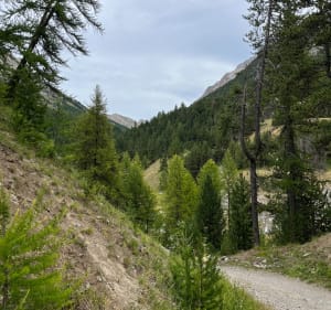 Balade transfrontalière à Montgenèvre - Montgenèvre - 2