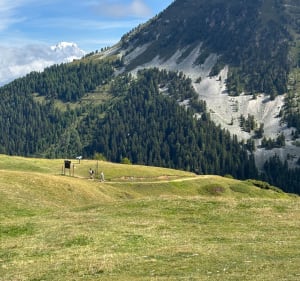 Boucle du D’où du Praz - La Plagne Tarentaise - 2