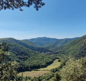 Sommet de Peyreguille, Avène. - David - 4