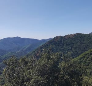 Sommet de Peyreguille, Avène. - Avène - 2