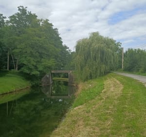 La randonnée du Marysiens - Mary-sur-Marne - 2