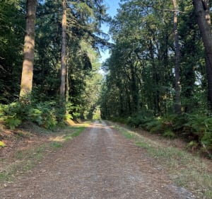Balade entre routes et chemins à Kervignac - Kervignac - 2