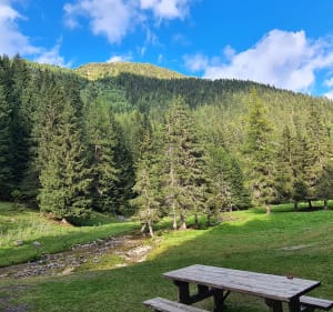 Forêt paisible, sentiers gourmands à La Plagne - Marie-Odile - 4