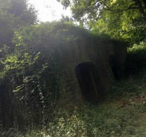 Hûmes- Fort de la pointe de diamant- la batterie - Humes-Jorquenay - 2