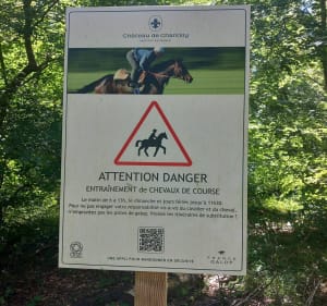 Balade dans les bois de Chantilly - Chantilly - 2